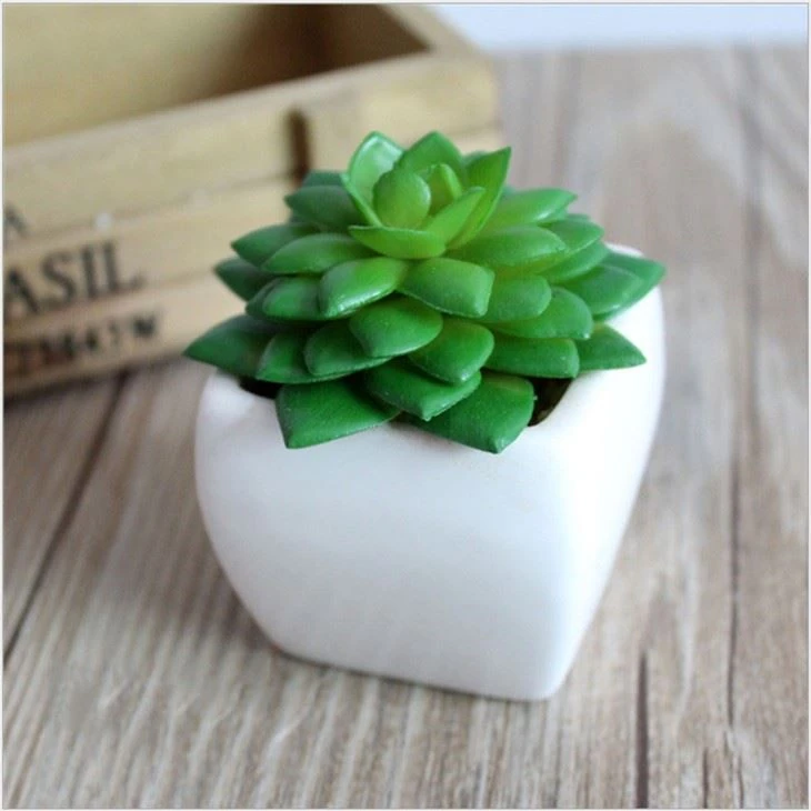 artificial mini potted succulent