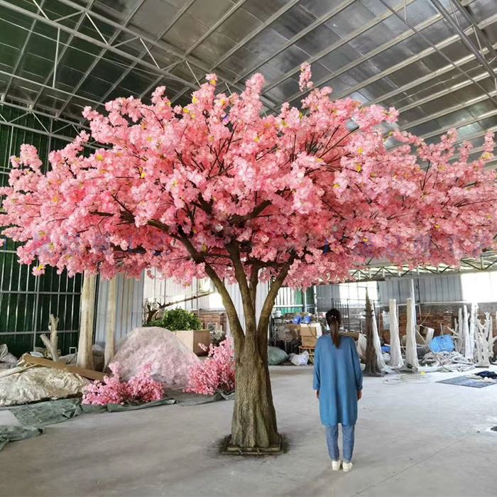درخت گیلاس چه ویژگی هایی دارد