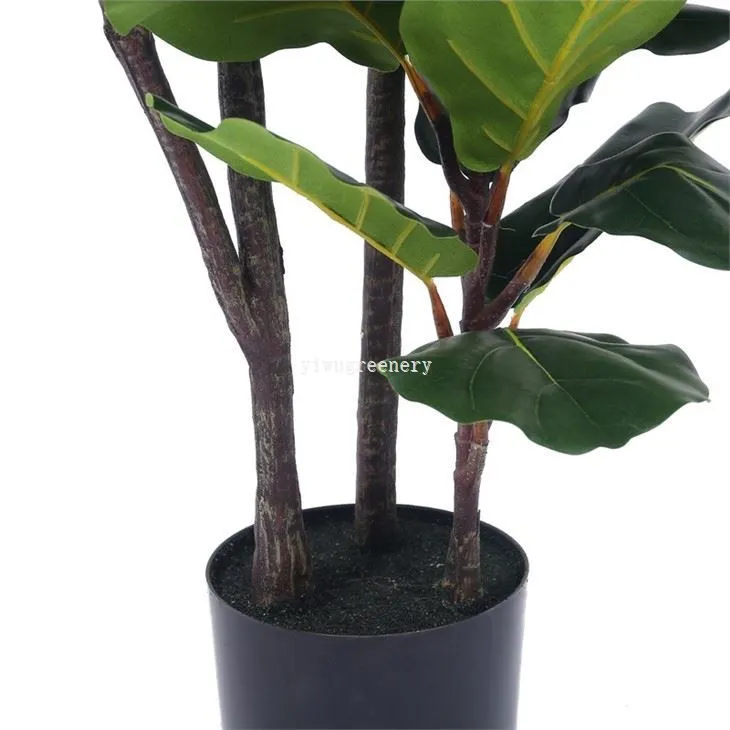 faux fig tree
